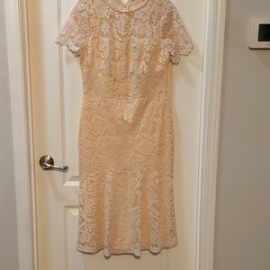 New Ralph Lauren lace dress